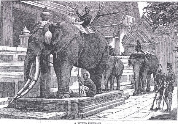 20110905123305513_0001